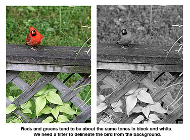 Color and black and white compared.