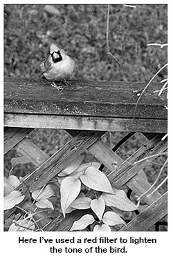 Black and white adjusted.