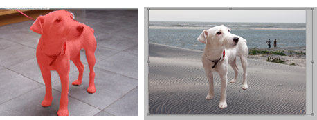 Photoshop quick mask.