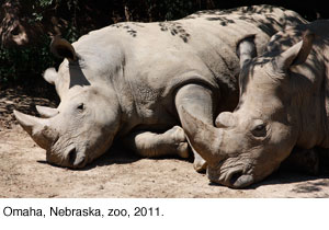 Omaha zoo.
