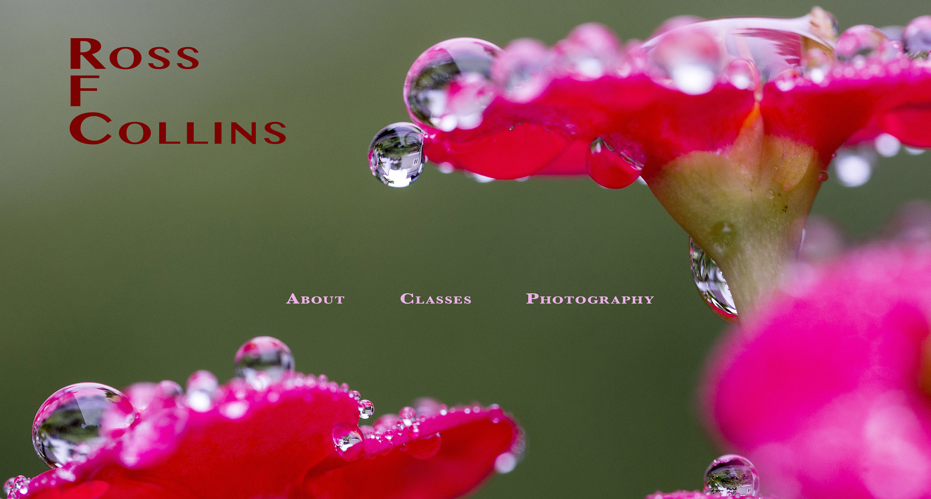 Ross F. Collins Readings and Resources