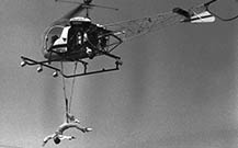 Calgary Stampede, 1971