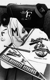 Inaugural season takes flight for the Beez and Red Hawks.